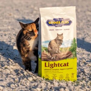 Lightcat 2 кг