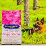 Puppy Starter 3 kg