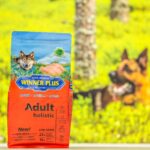 Winner Plus holistiline gluteenivaba koeratoit kanaga