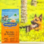 Winner Plus holistiline monoproteiin hüpoallergeenne gluteenivaba koeratoit Lõhe kartul