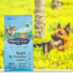 Winner Plus holistiline monoproteiin hüpoallergeenne gluteenivaba koeratoit part kartul