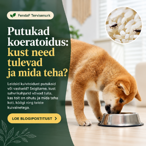 Putukad koeratoidus: kust need tulevad ja mida teha?