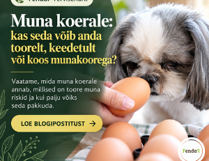 muna koera toidulaual