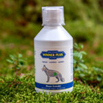 Rabataimede ekstrakt