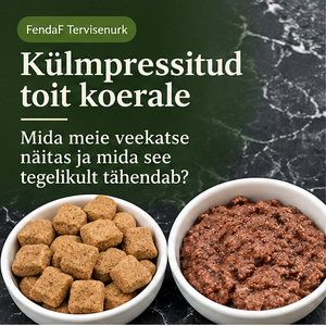 FendaF 92 ET blogiartikli tunnuspilt
