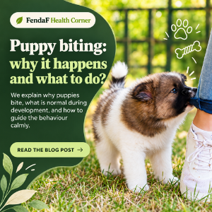 Puppy biting: why does it happen and what should you do?