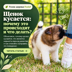 Щенок кусается: почему и что делать?