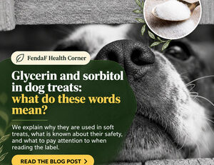 Close-up of a dog’s nose with a spoon of white granules in an inset; English heading about glycerin and sorbitol in dog treats.