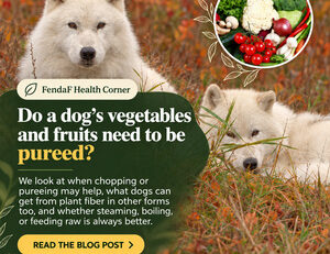 Two white dogs in autumn vegetation with an inset of vegetables; English heading about pureeing vegetables and fruits for dogs.