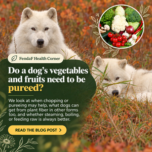 Two white dogs in autumn vegetation with an inset of vegetables; English heading about pureeing vegetables and fruits for dogs.