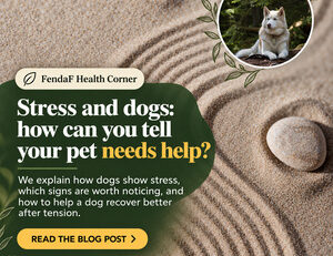Sand with circular patterns, stones and a white dog in a woodland inset; English heading about stress in dogs.