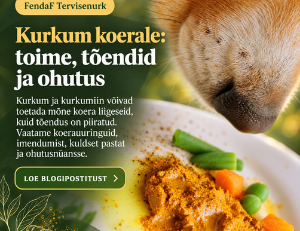 kurkum kui põletiku alandaja