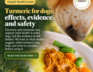 Turmeric for Dogs: Benefits, Evidence & Safety