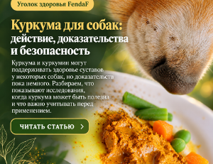 Куркума для собак: действие, исследования и безопасность