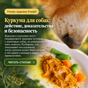Куркума для собак: действие, исследования и безопасность