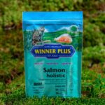 salmon holistic