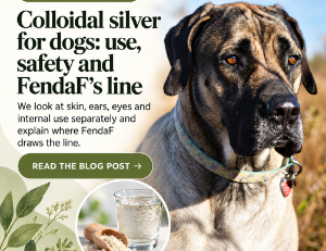 Colloidal silver for dogs: uses, safety and FendaF’s boundary
