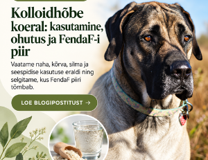 kolloidhõbe kasutamine koeral - kus, millal ja kus mitte kasutada