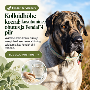 kolloidhõbe kasutamine koeral - kus, millal ja kus mitte kasutada