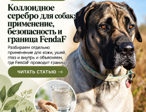 Коллоидное серебро для собак: применение, безопасность и граница FendaF