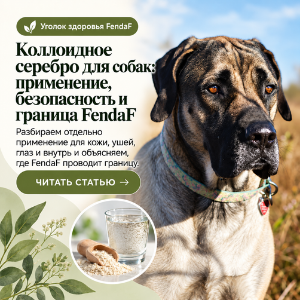 Коллоидное серебро для собак: применение, безопасность и граница FendaF
