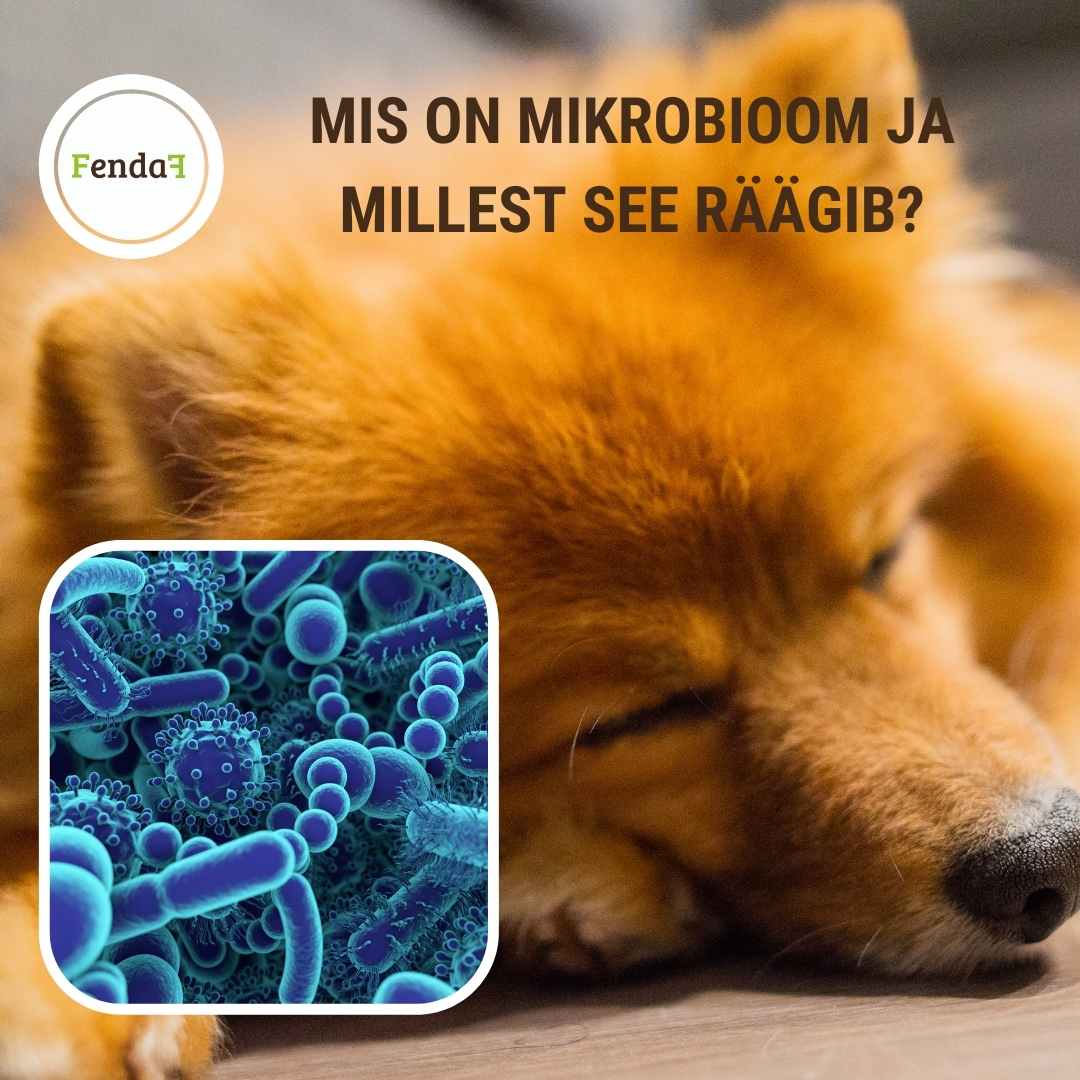 mikrobioom
