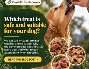 Which treat is safe and suitable for your dog?