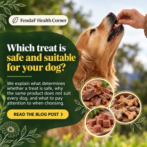 Which treat is safe and suitable for your dog?