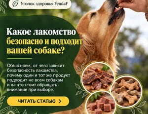 Какое лакомство безопасно и подходит вашей собаке?