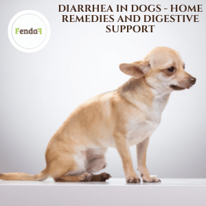 Diarrhea in dogs - home remedies and digestive support