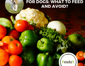 Fruits and vegetables for dogs - safe choices and enriching the diet