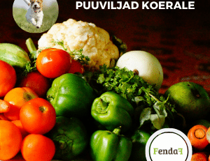 Köögi- ja puuviljad koerale - ohutud valikud ja toidu rikastamine