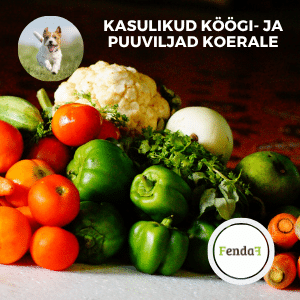 Köögi- ja puuviljad koerale - ohutud valikud ja toidu rikastamine