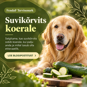 FendaF Tervisenurk: artikkel #62 (ET)