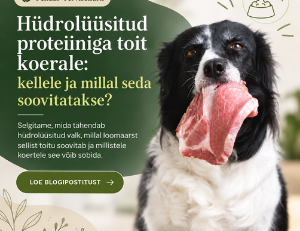 Hüdrolüüsitud koeratoit: kas see on alati parim valik?