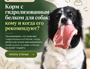 Гидролизованный корм для собак: всегда ли это лучший выбор?