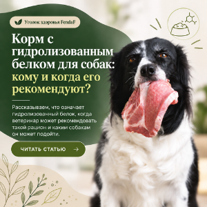 Гидролизованный корм для собак: всегда ли это лучший выбор?
