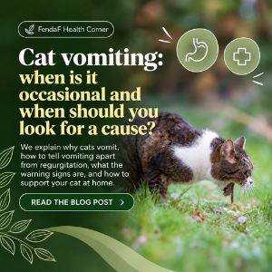 Cat vomiting: causes, hairballs and warning signs