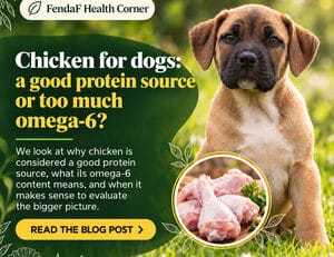 Chicken for dogs: a good protein source or too much omega-6?