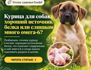 Курица для собак: хороший источник белка или слишком много омега-6?