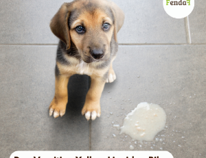Dog vomiting yellow bile or foam