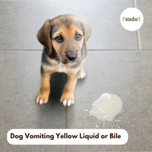 Dog vomiting yellow bile or foam