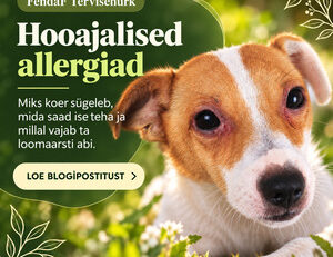 Hooajalised allergiad koertel