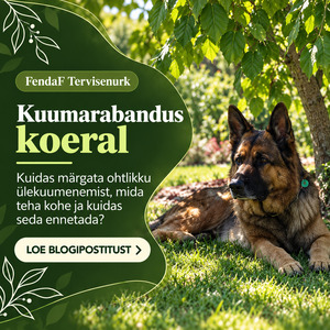 Kuumarabandus koeral
