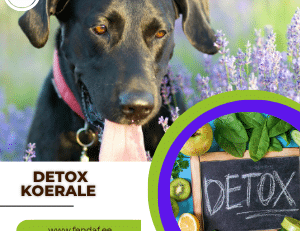 Detox koerale