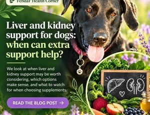 Liver and kidney support for dogs