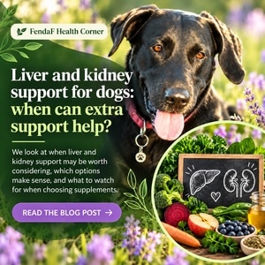 Liver and kidney support for dogs