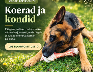 Koerad ja kondid - FendaF ET
