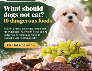 What Can Dogs Not Eat? 10 Dangerous Foods