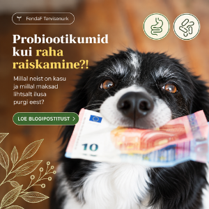 Looduslikud probiootikumid koerale: mida valida?